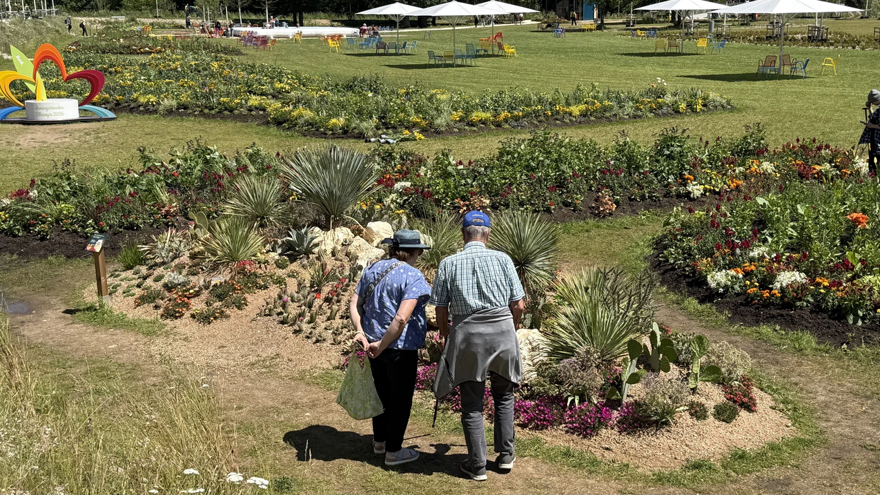 Großer Landesgartenschau-Abverkauf