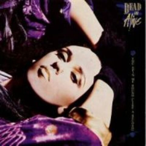 Cover DEAD OR ALIVE - YOU SPIN ME ROUND (LIKE A RECORD)