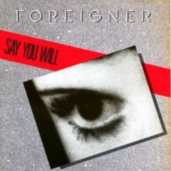 SAY YOU WILL