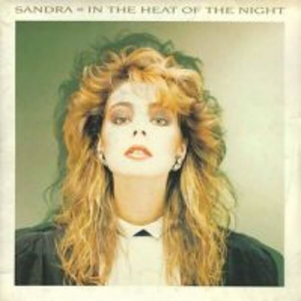 IN THE HEAT OF THE NIGHT
