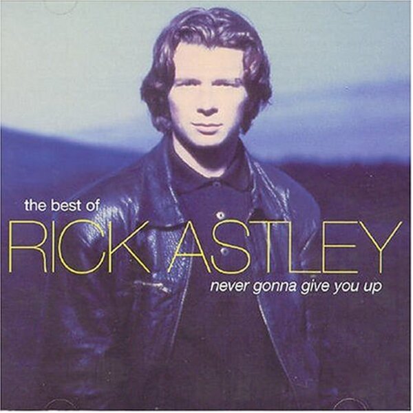 NEVER GONNA GIVE YOU UP