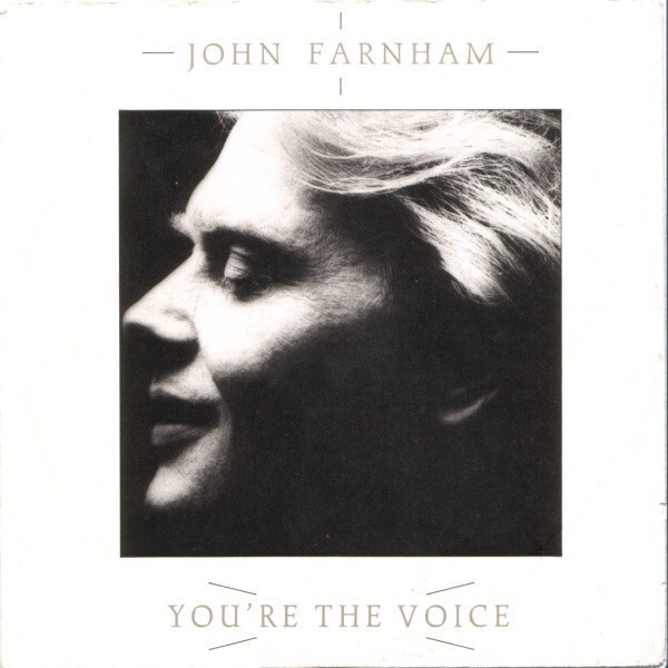 YOU'RE THE VOICE
