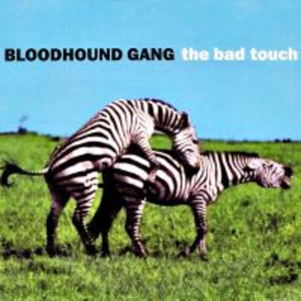 THE BAD TOUCH