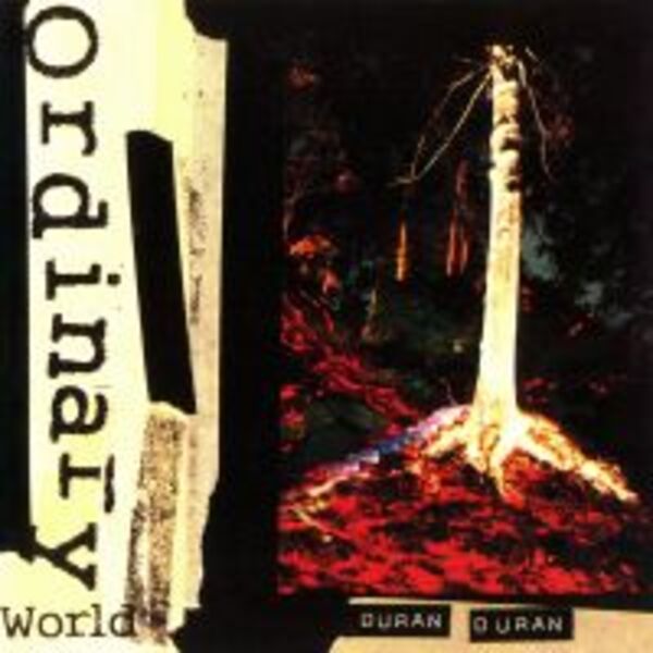 ORDINARY WORLD