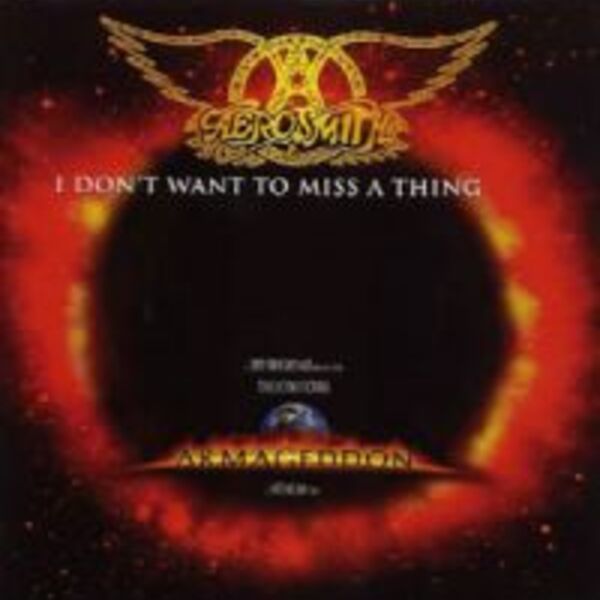 I DON'T WANT TO MISS A THING