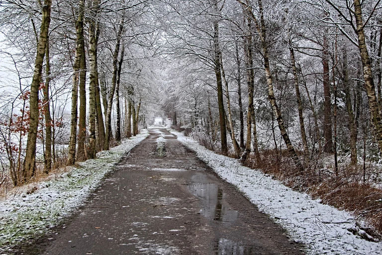 Holprige Straße durch einen leichtverschneiten Wald mit einigen Pfützen. — © Symbolbild