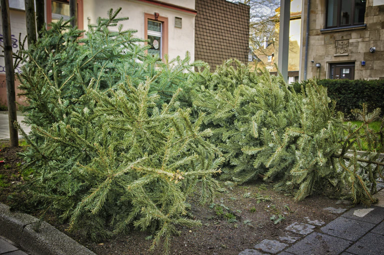 — © Symbolbild Jörg Brinckheger via ccnull.de (CC-BY 2.0)