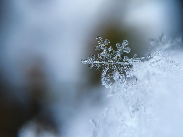 — © Aaron Burden / Unsplash