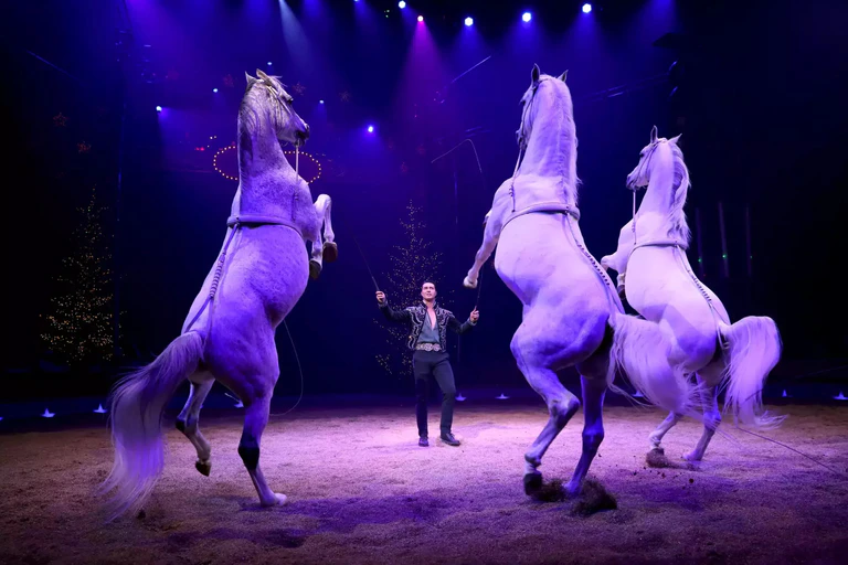 — © www.weihnachtscircus.com/bilder