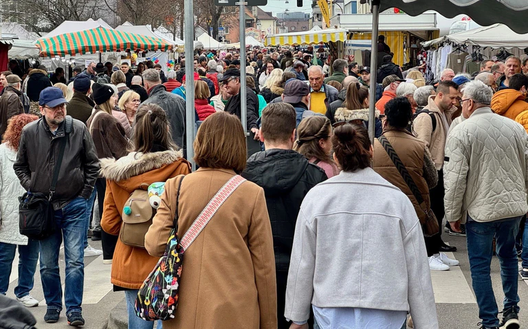 — © HMG/ssc Pferdemarkt 2025